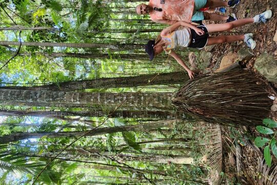Waterfalls and Bushwalk Eco Adventure