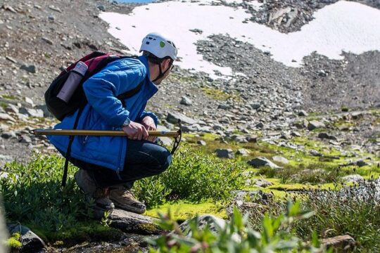 Whistler Glacier Discovery Tour