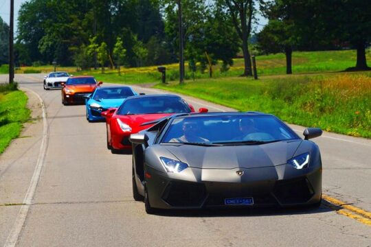 6 Hour Exotic Car Tour driving 6 Super cars + Lunch
