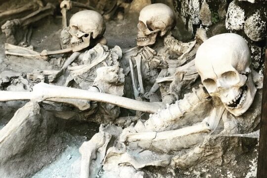 5 Hours Private and Guided Tour to Pompeii and Herculaneum with Archaeologist