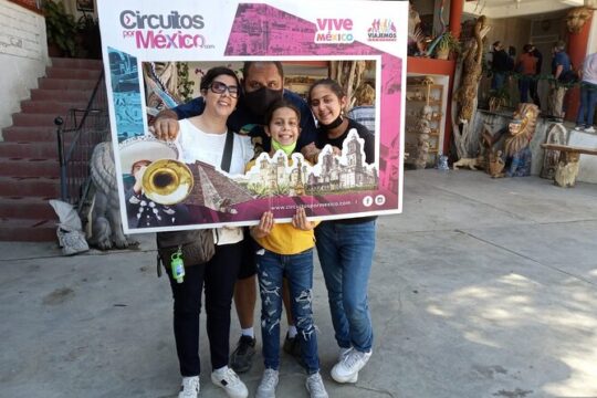 Mexico City Tour and Visit Chapultepec Castle. Private service