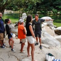 Bus & Minivan Tours