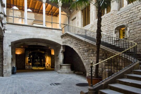 Picasso Museum Guided Tour
