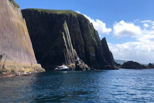 1 hour Dingle Bay Cliff Tour