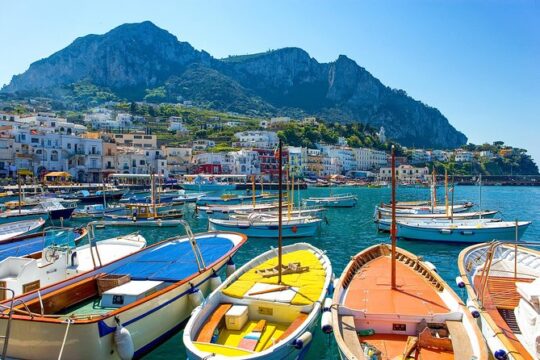 Capri Private Boat Excursion from Castellammare Di Stabia
