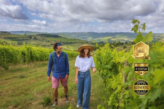 Walking Tour of Chianti Classico with 3 Organic Wine Tasting and lunch