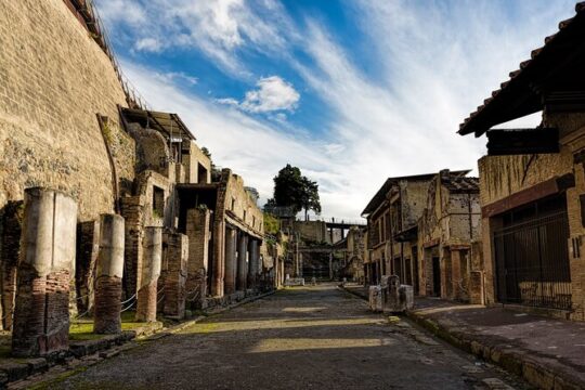 Mount Vesuvius & Wine Tasting with Lunch Private Tour from Naples