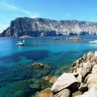 Tours & Sightseeing