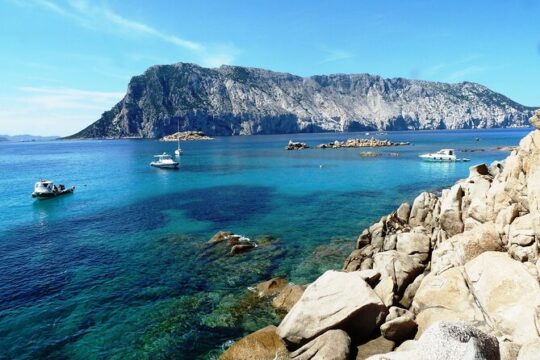 Tour in rubber dinghy and snorkeling in the Protected Marine Area of Tavolara