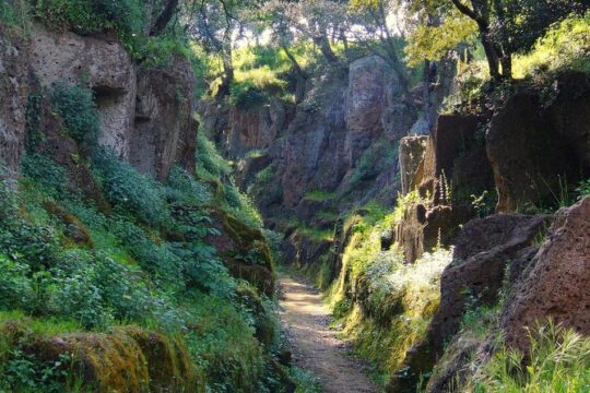 Day trip from Rome: The Etruscan heritage: Tarquinia&Cerveteri - private tour