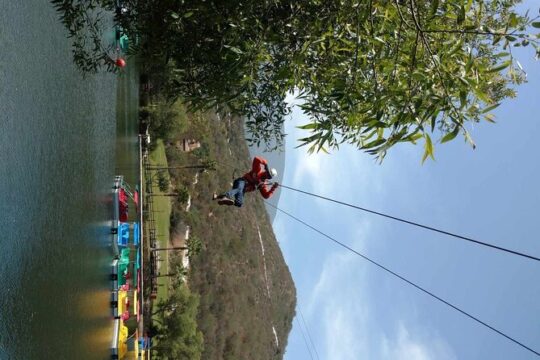 Las Canadas Ecopark and Bufadora private tour