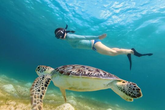 Off the Beaten Path ATV, Cenote and Snorkel Adventure in Akumal