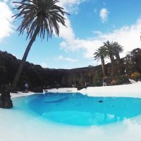 Cultural & Theme Tours