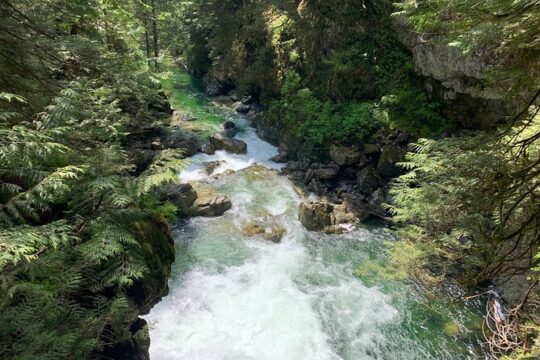 Vancouver Rainforest Hike with Waterfalls, Suspension Bridge, Old Growth Forest