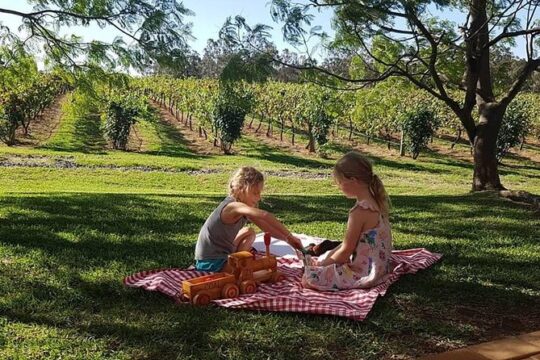 Tintilla Estate: Wine Tasting with a Meat and Cheese Platter