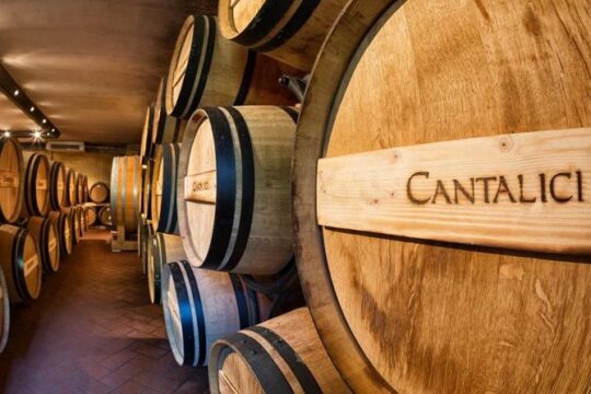 Wine tasting in the historical Cantalici winery