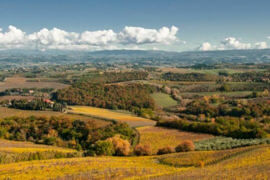 Cesani Wine Experience