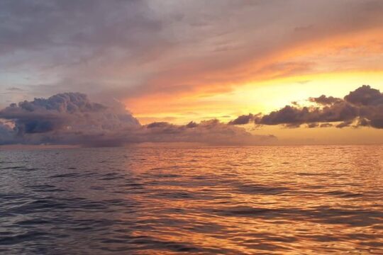 Stand Up Paddle Sunrise