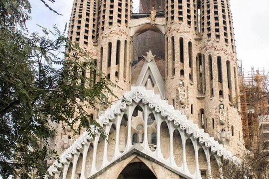 Barcelona Fast Track Guided Tour: Sagrada Familia Tour with Access