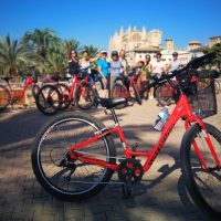 Shore Excursions