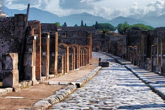Destruction, death and rebirth of Pompeii, Private Visit in the afternoon.