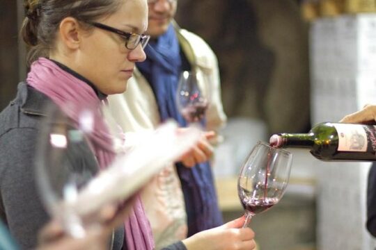 Private Wine and Oil Tour in the Priorat Wine Region