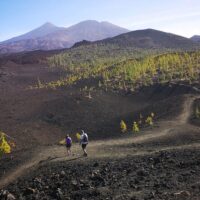 Walking & Biking Tours