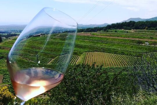 Grand Wine Tour from Catania or Taormina