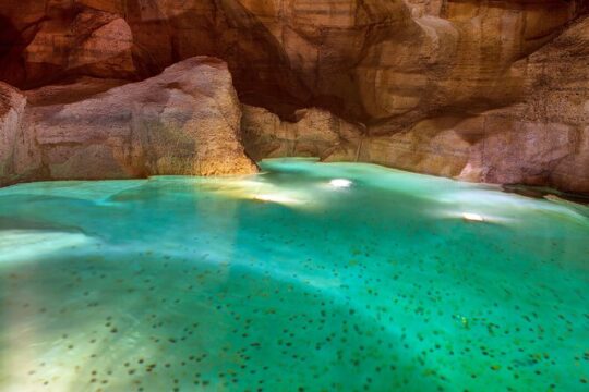 Rome: Trevi Fountain and Underground Domus Guided Tour
