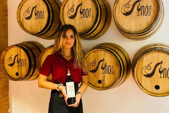 Wine Tasting and Pairing Class Guided Tour in Florence