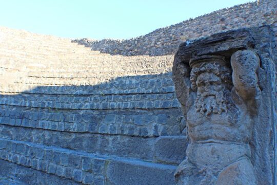 Private Pompeii & Herculaneum Archaeological sites tour from Rome