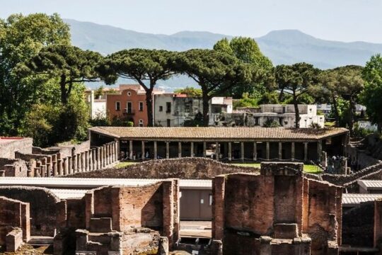 Pompeii & Bosco de' Medici Winery Skip the line from Sorrento