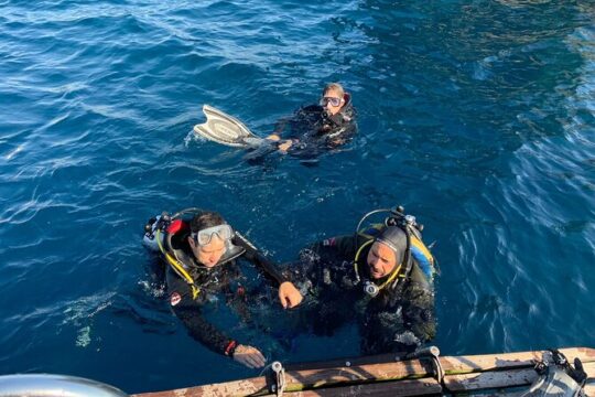 Basic Scuba Diver