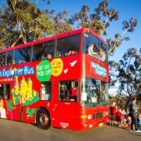 Tours & Sightseeing