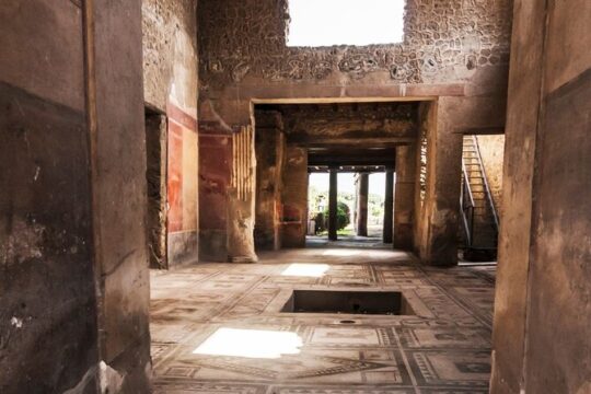 Rome to Pompeii Guided Tour with Wine & Lunch by High Speed Train