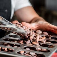 Chocolate Tours