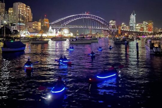 City Lights by Night Paddle on Sydney Harbour Guided Tour