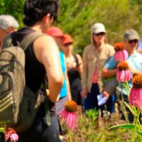 Sustainable Tours