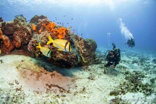 2 Tank Cozumel Reef Boat Dives