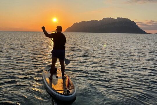 Stand Up Paddle Tour Dolphins Experience Golfo Aranci