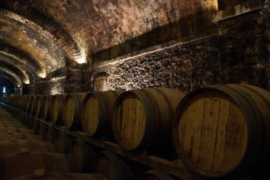 Lambrusco making: winery tour