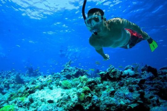 Snorkeling Tour to Vieques Island