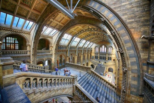 The Natural History Museum of London: Private Half-Day Tour