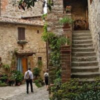 Half-day Tours