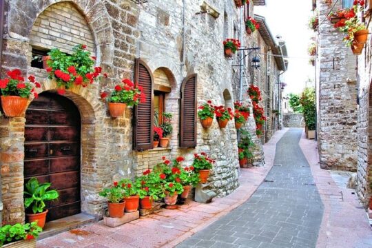 From Rome: full-day private tour to Bracciano, Tarquinia and Sutri