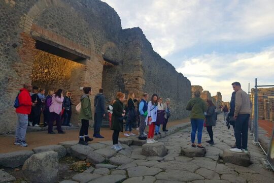 Half-Day Tour in Pompeii from Rome