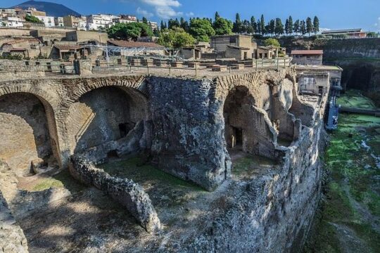 Tour of the Ruins: Hercolaneum-Oplontis-Pompeii (FullDay 8h)