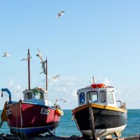 Shore Excursions