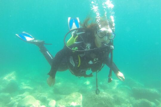 Introdive