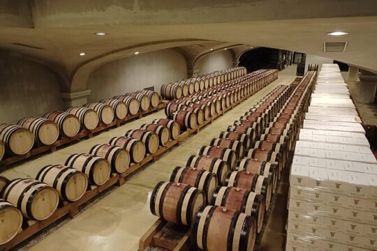 Rhône Valley Wine & Chocolate Tasting Private Day Tour from Lyon